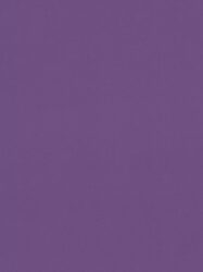 Papel de Parede Elegance  Fundo Liso Roxo  05597-10