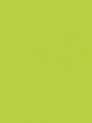 Papel de Parede Elegance  Fundo Liso Verde Limão  05597-20
