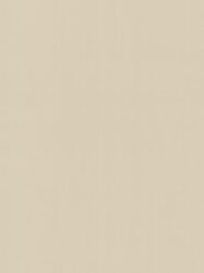 Papel de Parede Elegance  Fundo Liso Rosé  05598-60