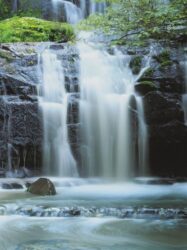 Painel Fotográfico - Pura Kaunui Falls - 2-1256