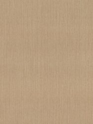Papel de Parede Sinfonia - Liso Marrom Claro - 42085-40