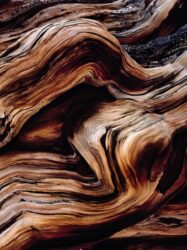 Painel Fotográfico - Old Giant - 8-520