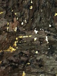 Pedra Natural Mica  Casca de Árvore Estampado em Fundo Dourado  KH2207