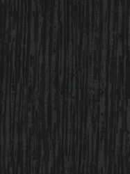 J520-19