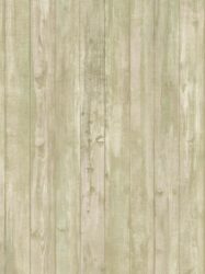 Papel de Parede Coleção Nature  Código: 780718