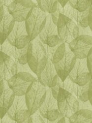Papel de Parede Coleção Nature  Código: 780848