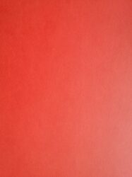 Papel de Parede Coleção World Teen – Código: 8699-60