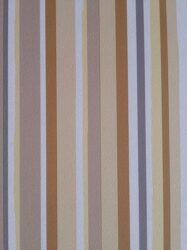 Papel de Parede Coleção World Teen – Código: J257-07