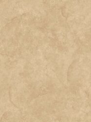 TOT10081