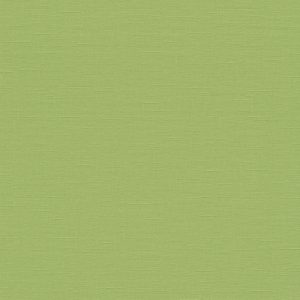 Papel de parede 02505-10