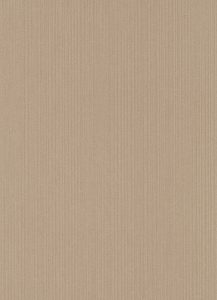 Papel de Parede liso Marrom 10004-30